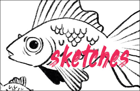 sketched fish